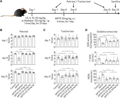 Coeloglossum viride Var. Bracteatum Extract Attenuates MPTP-Induced Neurotoxicity in vivo by Restoring BDNF-TrkB and FGF2-Akt Signaling Axis and Inhibiting RIP1-Driven Inflammation